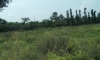 Langha Road (1).jpg